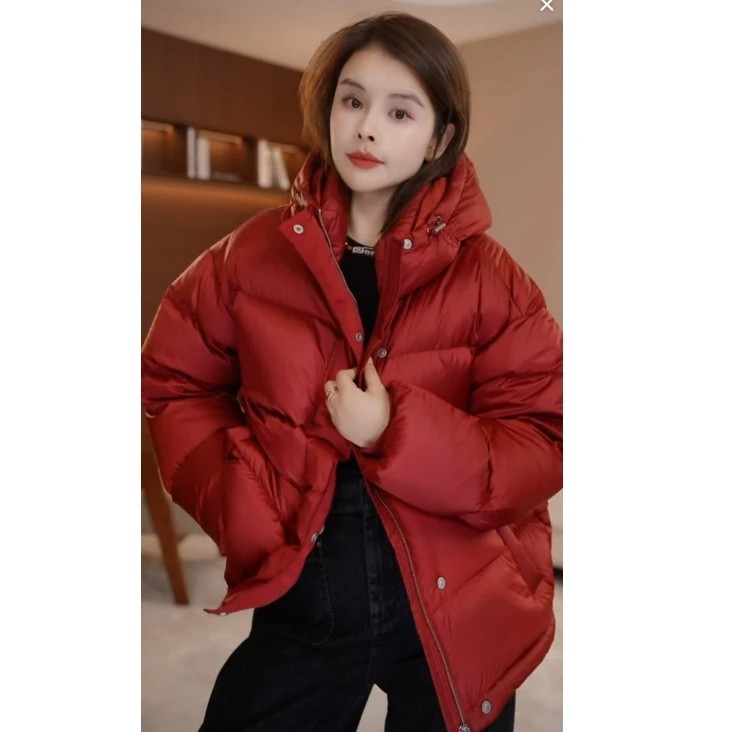 LAZYVISION+【庆余年】90白鹅绒连帽短款鹅绒服ZMD-24544