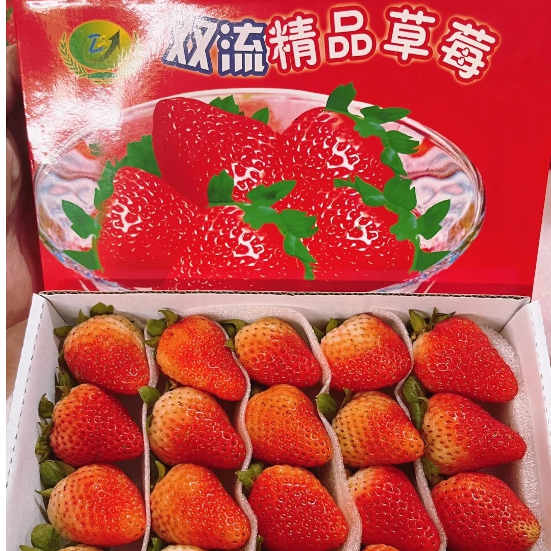 双流精品草莓  一盒装 0.6斤左右