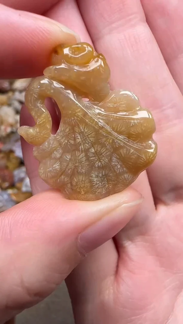 颈饰未镶嵌硅化珊瑚（珊瑚玉）225