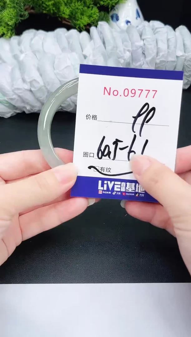 未镶嵌手镯翡翠9777