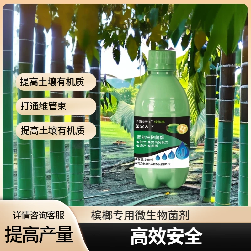 【海南地区专属槟榔专用】菌安天下对黄化根腐病保果提产效果显著