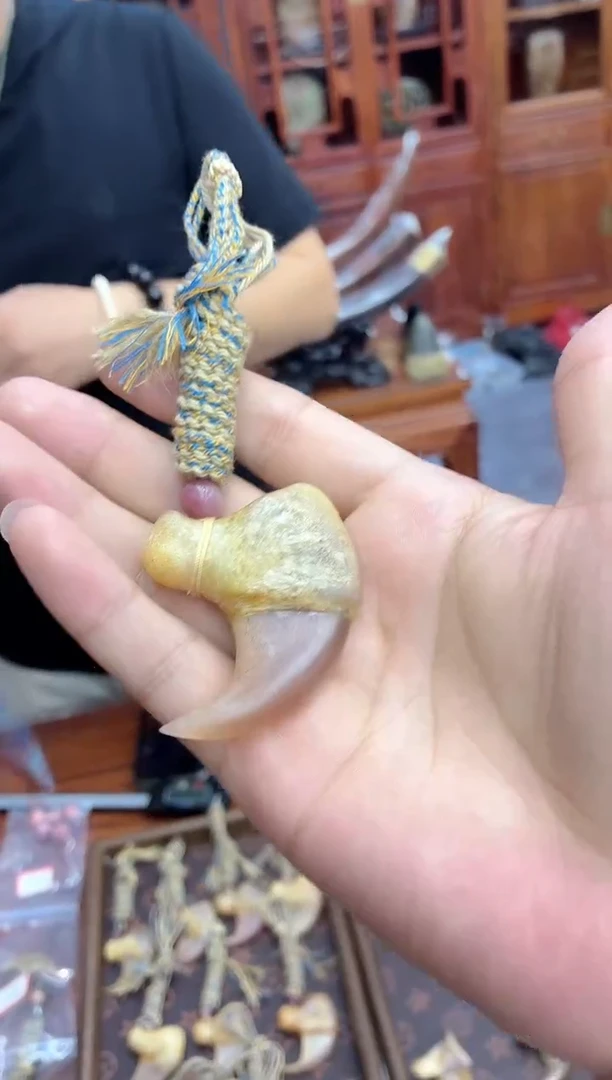 猛犸猛犸++++++27