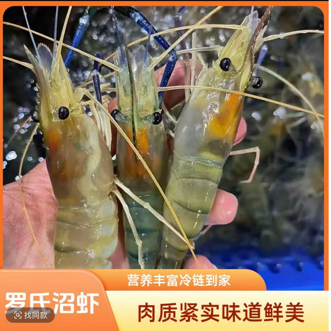 P1【拍三斤送一斤】鲜活速冻罗氏虾淡水罗氏虾顺丰冷链包邮