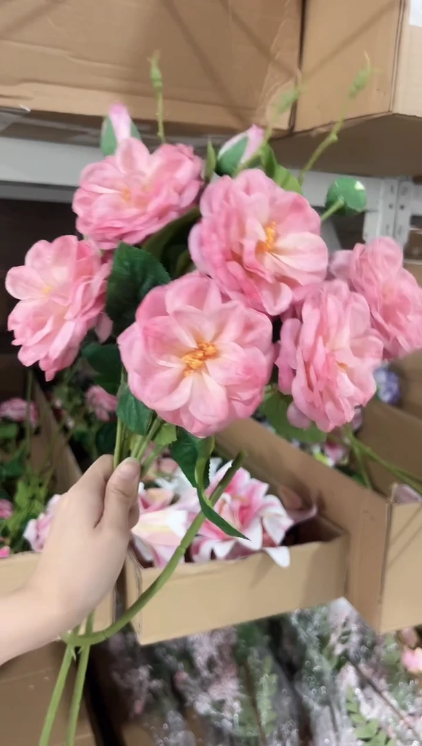 3枝深粉月季花花