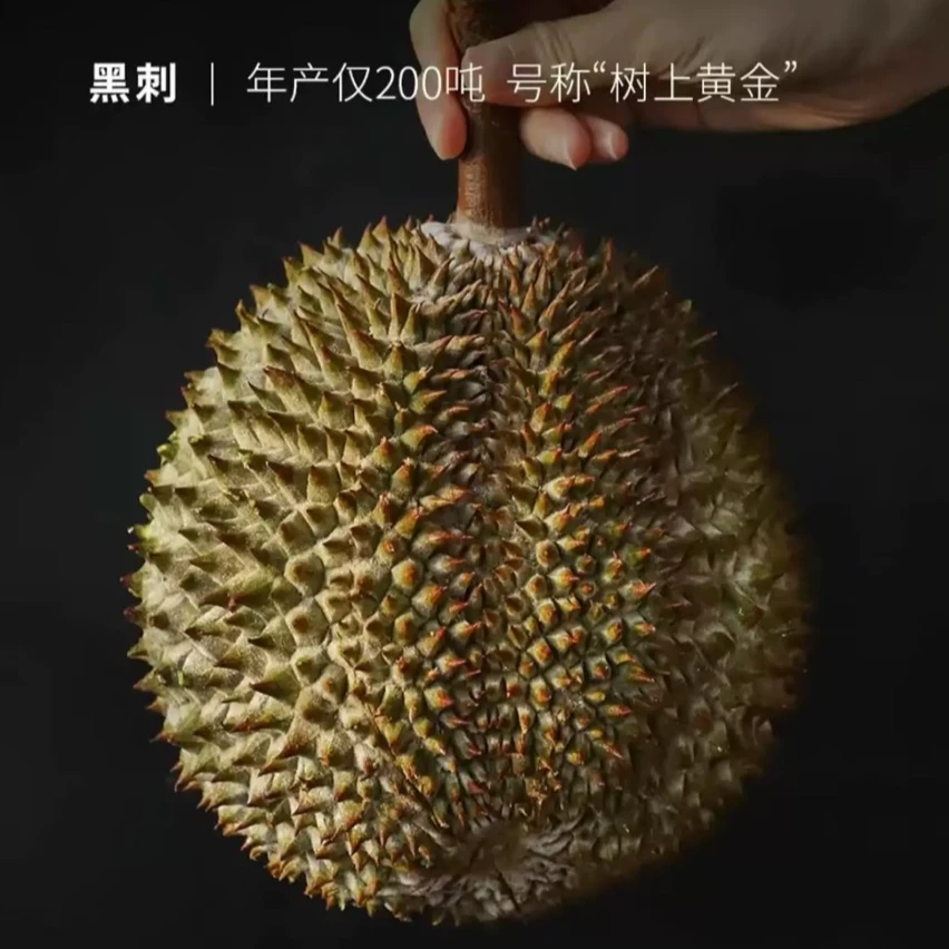 马来西亚D200树熟新鲜液氮榴莲整颗（保肉250g）黑刺马来西亚