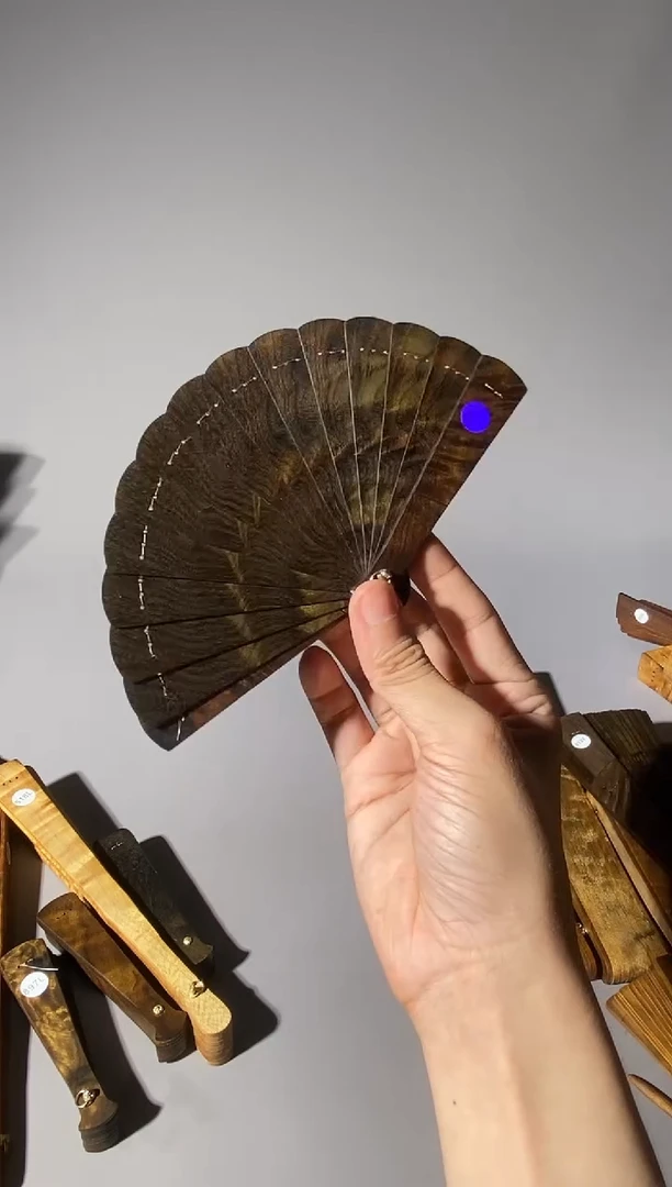 金丝楠洼120号10cm小叶桢楠掌中扇