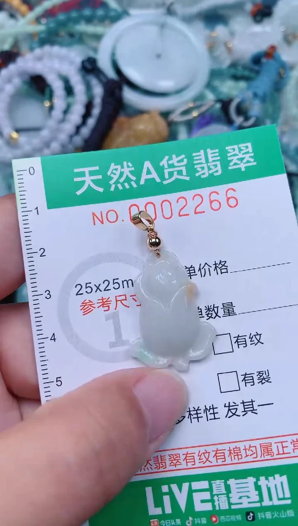 颈饰未镶嵌翡翠.0002266