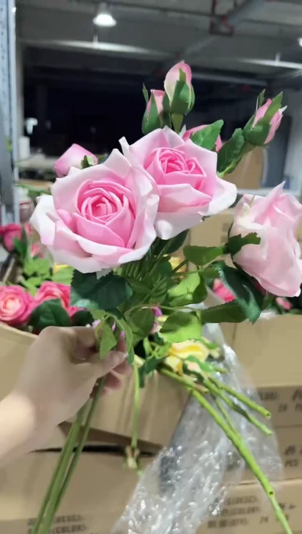 3枝粉手感保湿妃子玫