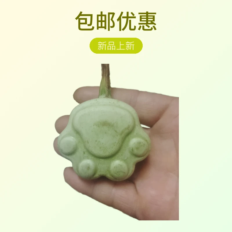 萌萌哒熊掌葫芦呵呵