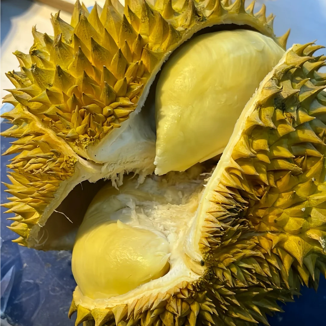 1颗/8-8.5斤【Y】金枕榴莲 保四房·少房包赔/仅太原可拍