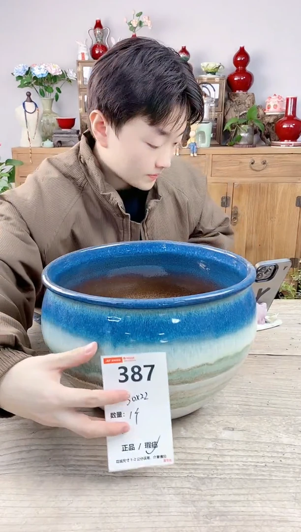 晴好园艺直播编号387