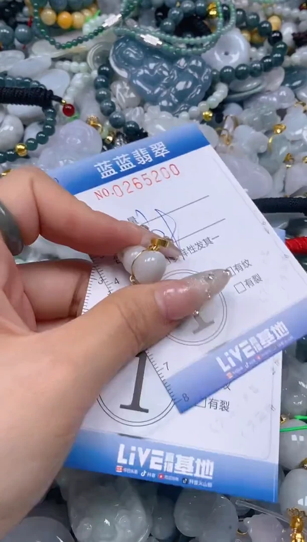 翡翠未镶嵌颈饰闪购0265200多样性发其一