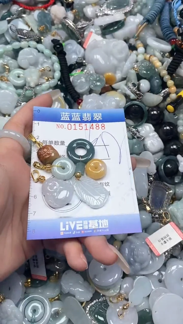 【闪购商品】翡翠颈饰未镶嵌闪购0151488