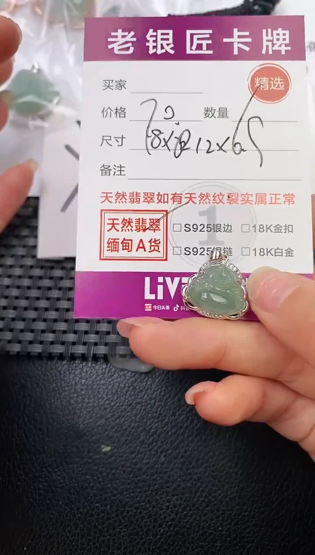 翡翠银S925镶嵌颈饰·