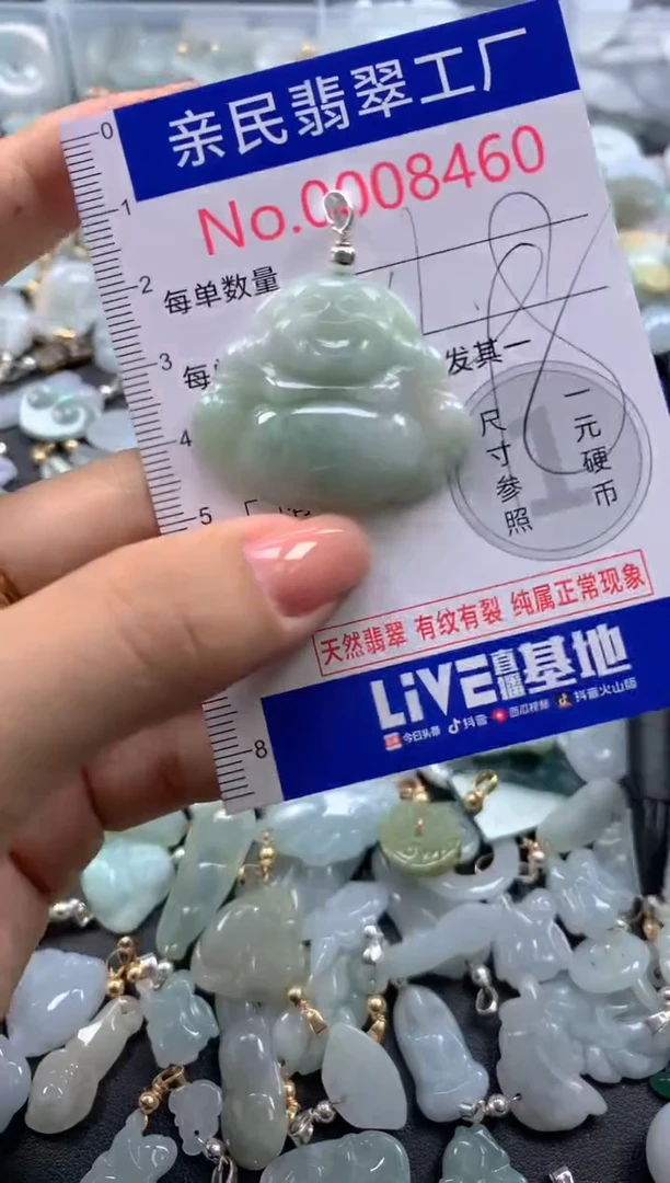 颈饰未镶嵌翡翠8460