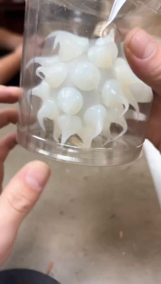 瓷片455聚宝缘海陶精选