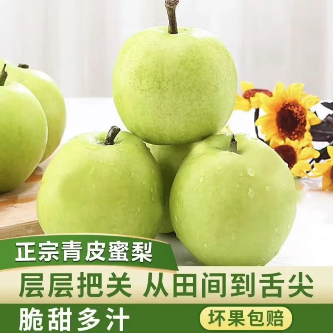 【顺丰包邮】砀山青皮蜜梨清甜爽口酥脆青梨时令水果新鲜现摘现发