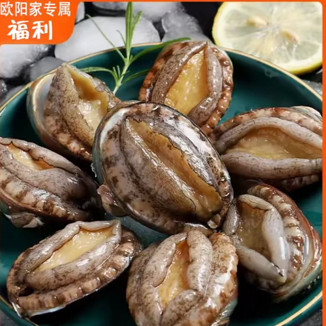 【福利】鲜活中号鲍鱼3斤60只以内低温速冻发货