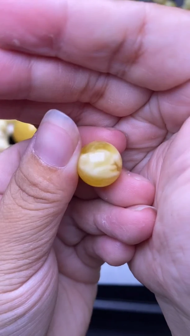 裸石琥珀未镶嵌大小姐珠宝严选117