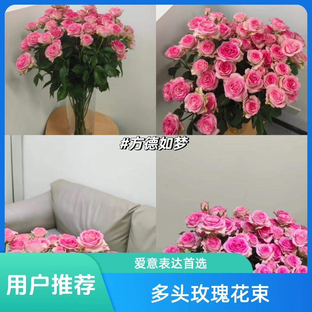 【香羿鲜花】多头玫瑰  如梦/全场任意满2单顺丰包邮3单送玻璃花瓶