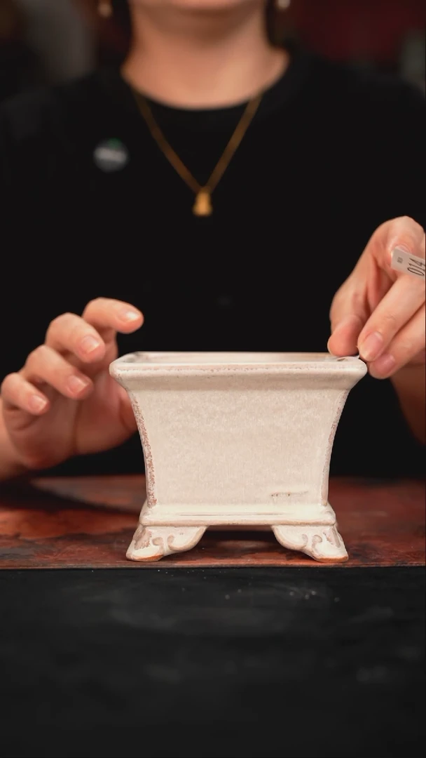 6-10-014花盆口径10.5