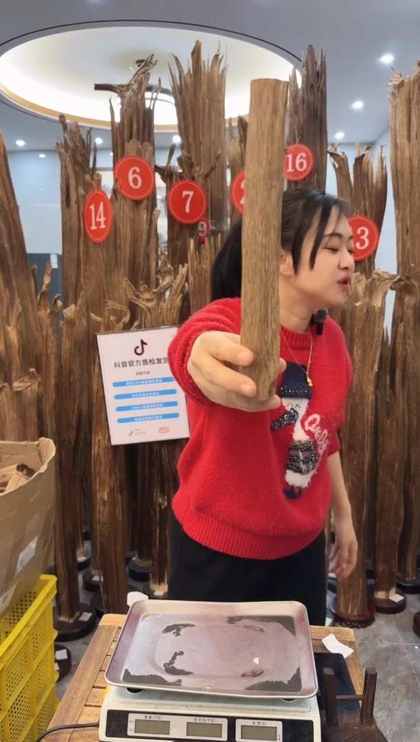 【闪购商品】沉香摆件沉香摆件9