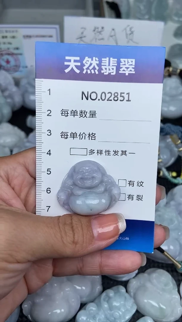 颈饰未镶嵌翡翠纯天然A货翡翠2851