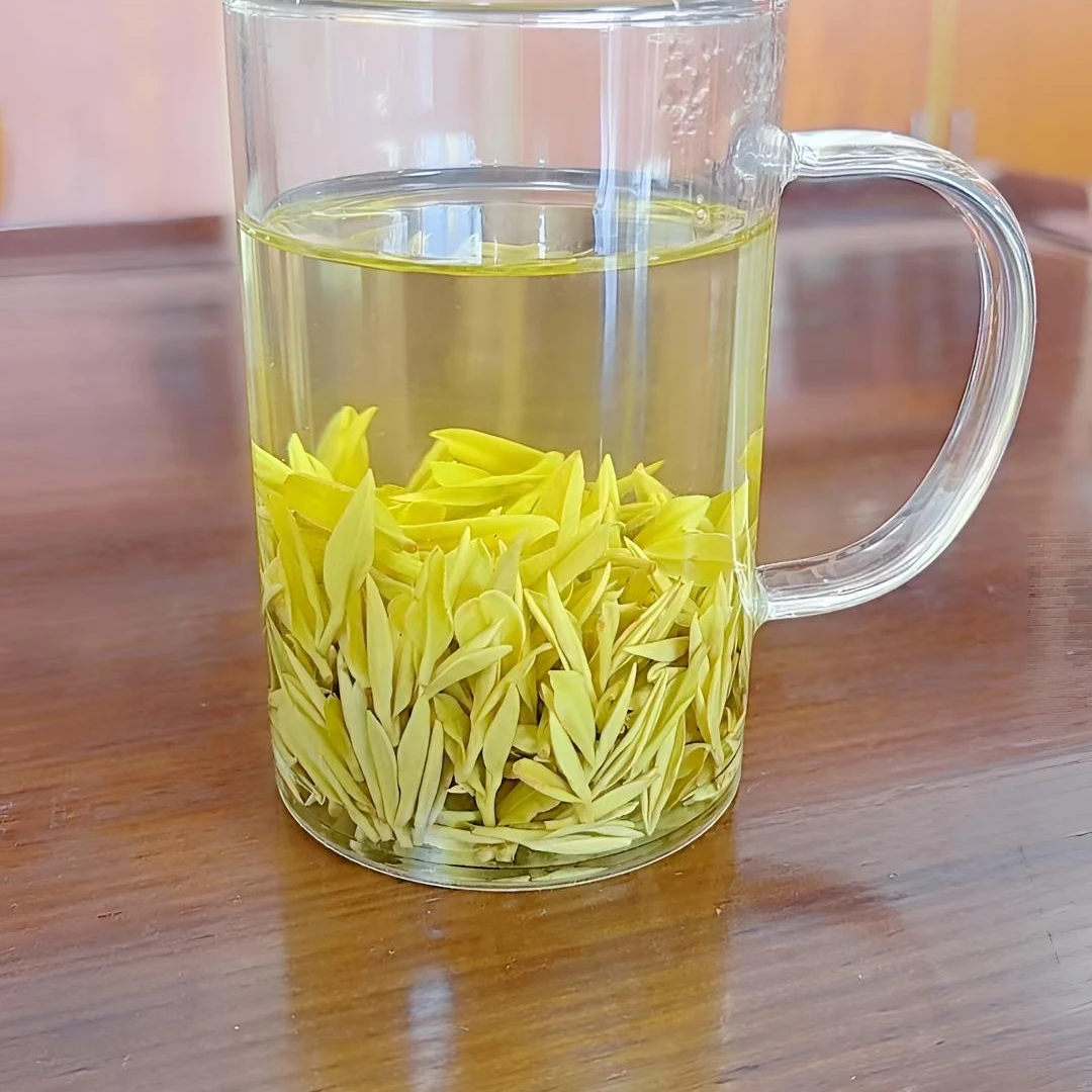 昕飞旭新茶头采黄金芽色泽亮黄口感绿茶推荐醇厚