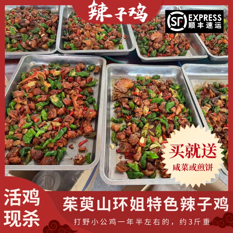 山东特色辣子鸡茱萸山环姐地道打野小公鸡约一年半 包冰率不含冰