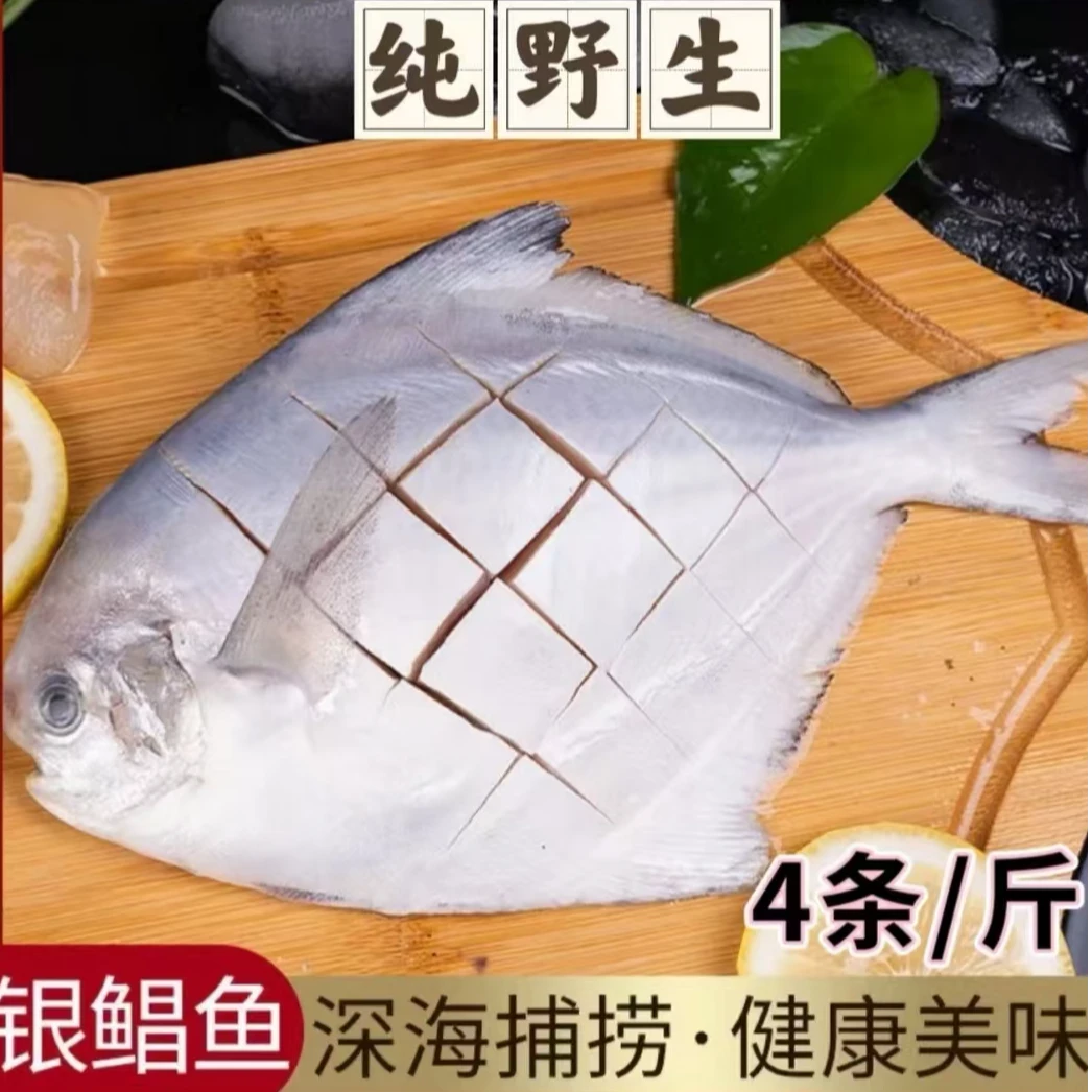 大号银鲳鱼 4条/包一斤 正宗野生新鲜海捕 红烧 烧银 简单又好吃