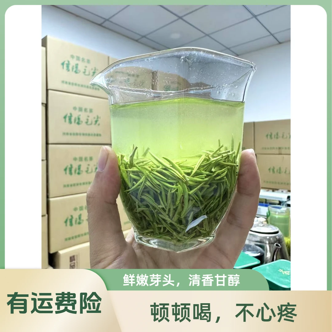 处理 【信阳毛尖】2024年新茶  明前茶   高山茶绿茶清香正宗