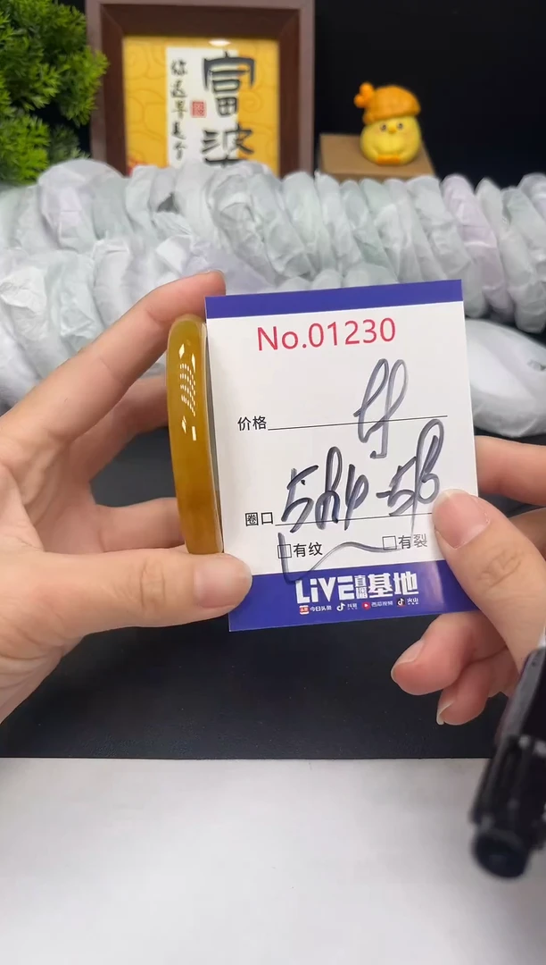 未镶嵌手镯翡翠拍下以实物为准1230