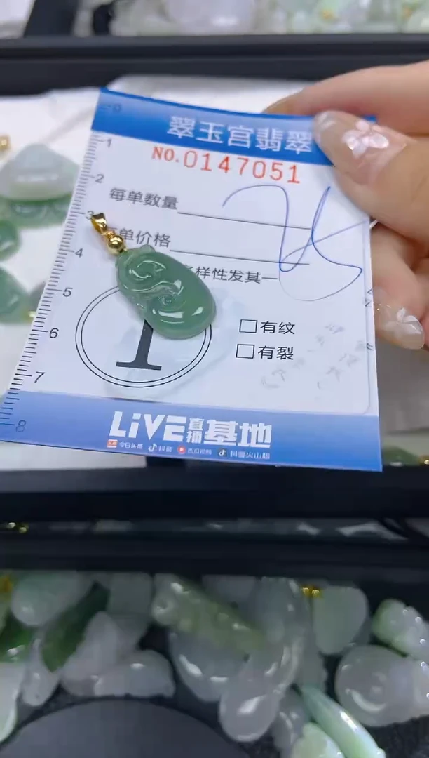 翡翠未镶嵌颈饰闪购0147051