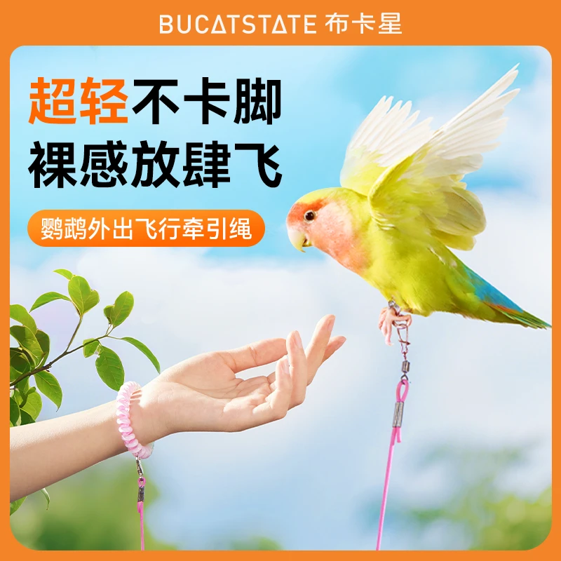 布卡星鹦鹉放飞绳户外遛鸟牵引弹力绳牡丹虎皮超轻不伤脚链训练绳