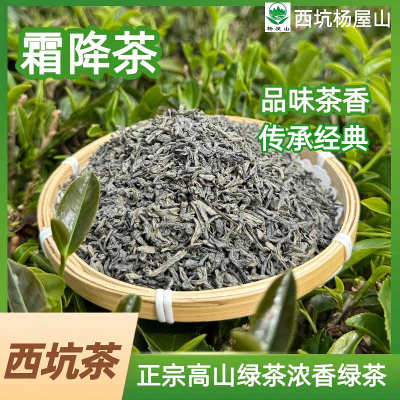 [霜降茶]高山绿茶浓香耐泡高颜值新款茶叶霜降云雾绿茶正宗绿茶