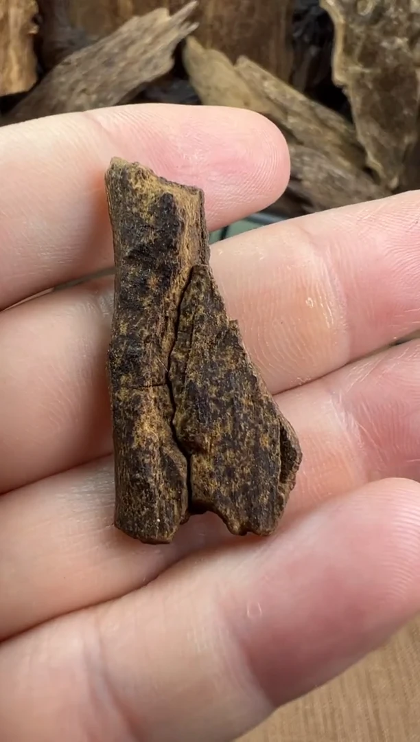 沉香沉香碎屑富森红土1.5g