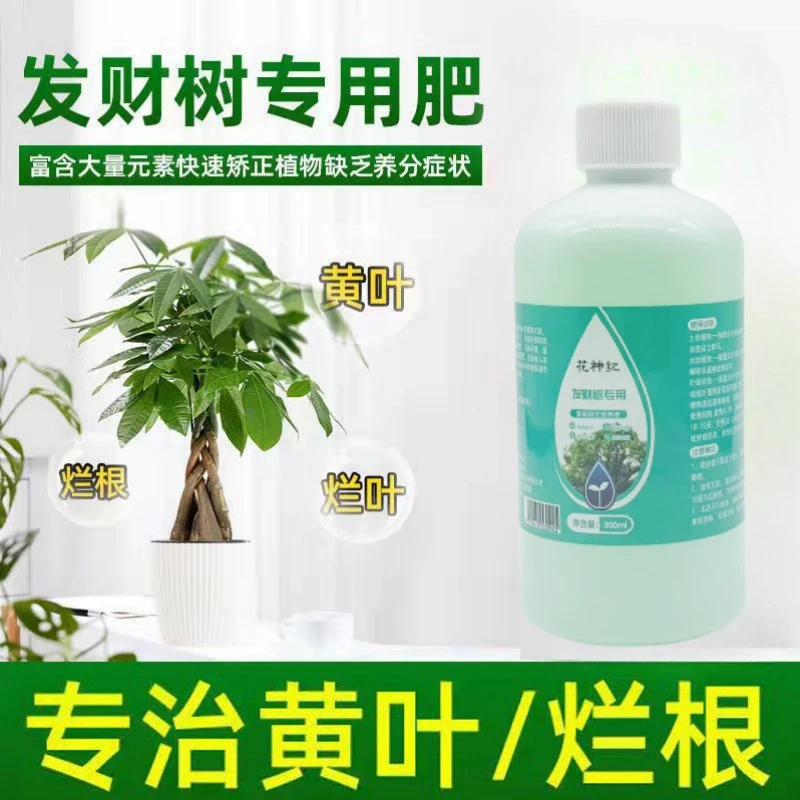 【发财树营养液】发财树黄叶枯叶烂根专用营养液生根促芽植物营养液
