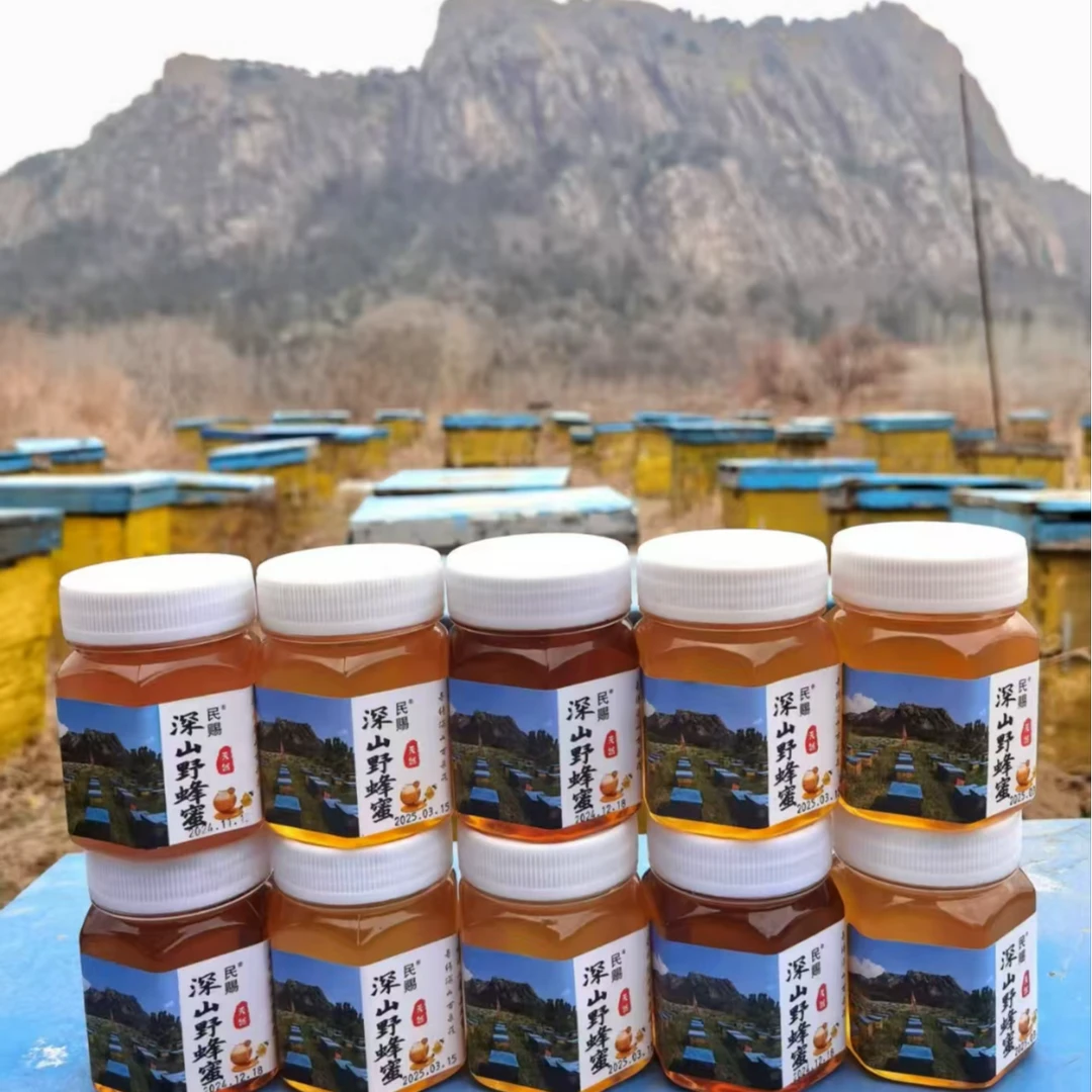 沂蒙山 野山花蜜 天然成熟蜜 228克*10瓶  ZJ