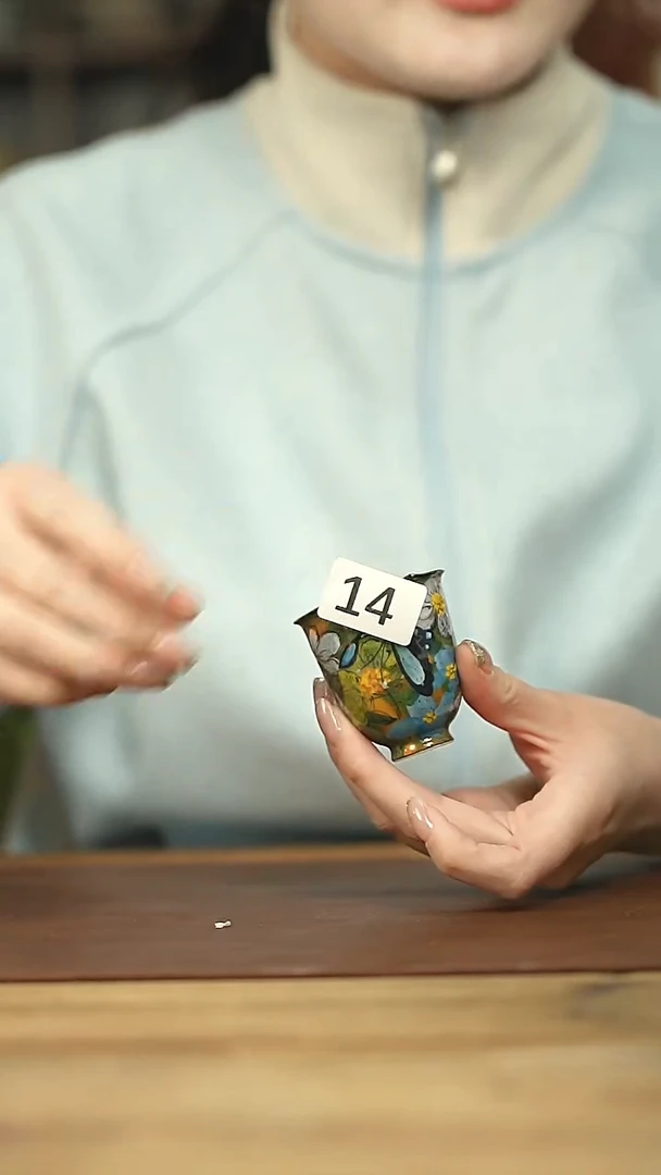 设计师手作款 手绘系列贰俩