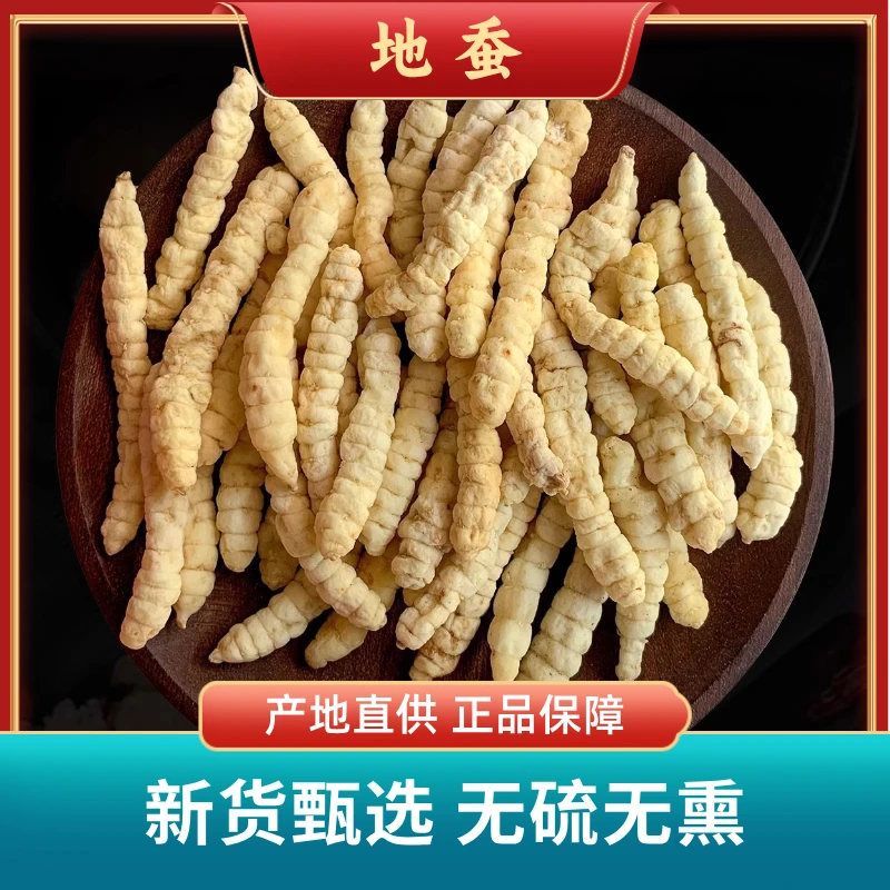 云南草石蚕地蚕正品中药材地蚕土虫草白虫草生地黄泽兰根地参