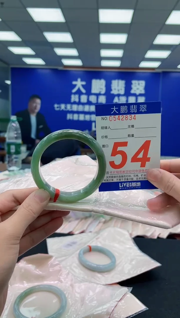 未镶嵌手镯翡翠AAAAAAAAA