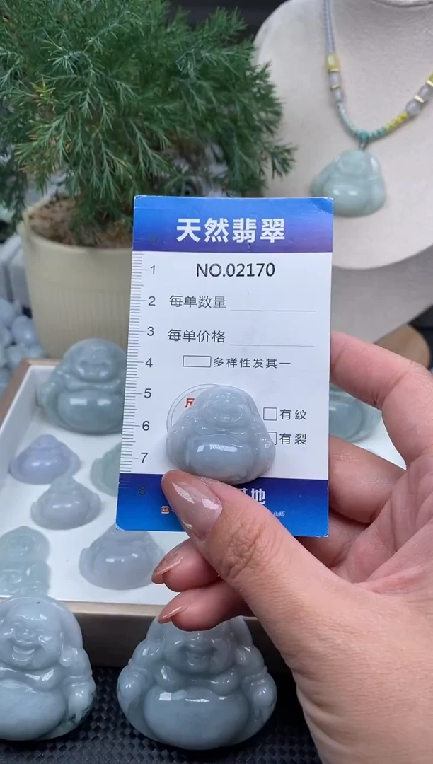 颈饰未镶嵌翡翠纯天然A货缅翡2170