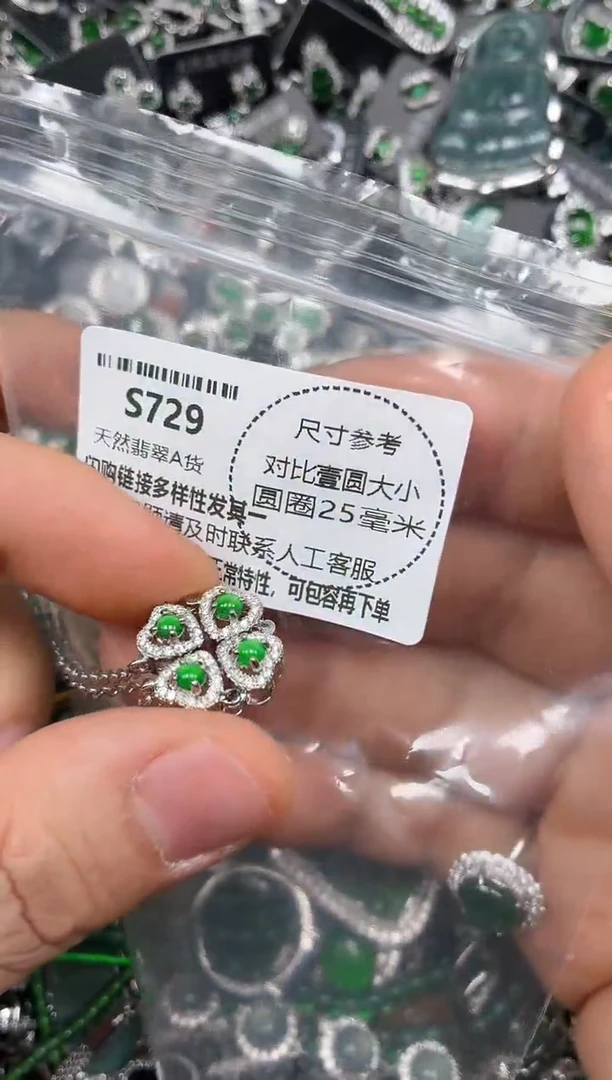 颈饰未镶嵌翡翠S729项链