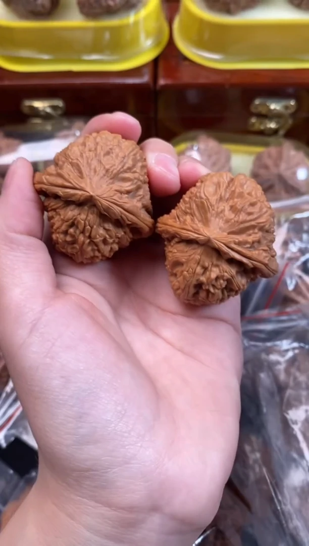 把件文玩核桃白狮子40尺s109