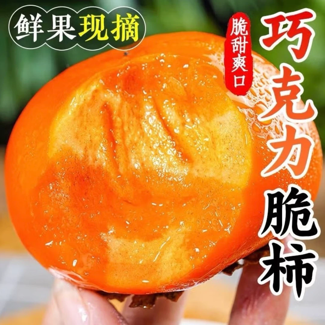 阳丰巧克力柿子3/5斤脆甜柿子农家新鲜水果无核冰糖心大柿子黄心