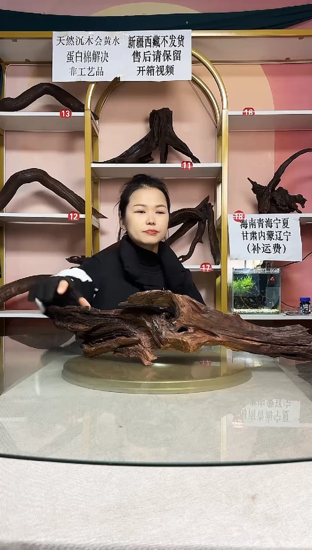 飞*鱼缸沉木造景素材A797