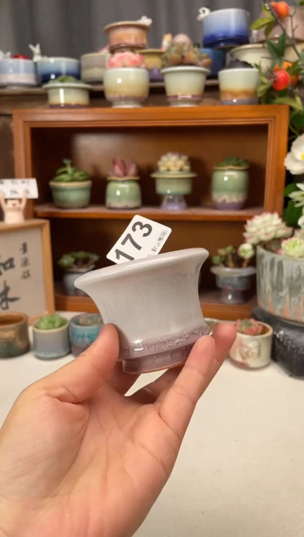 瓷片173知木小芳花盆直播编号