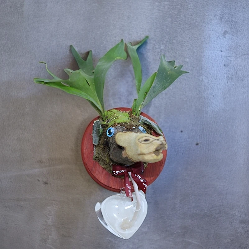 手工绿植鹿蕨八不像