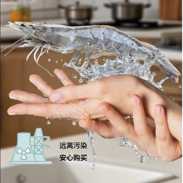 原盒厄瓜多尔盐冻南美白对虾20-30规格  虾净重3.3斤