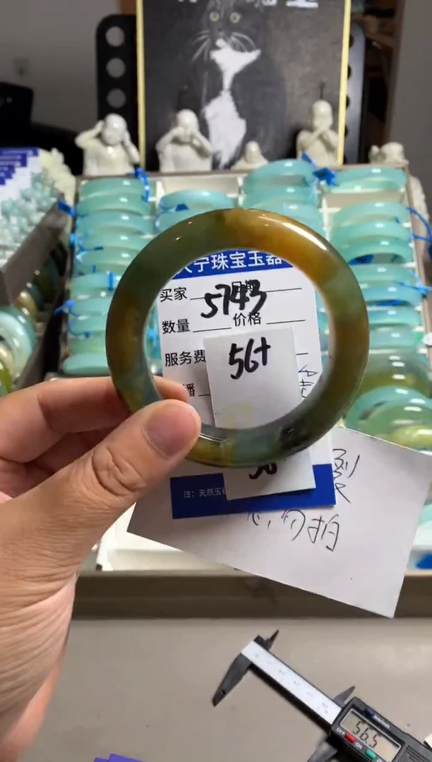 蛇纹石玉未镶嵌手镯5743